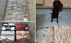 Vienna International Airport’ta 15 Kilo Esrar Yakalandı