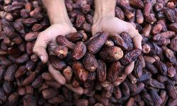 Orucu hurmayla açmak neden faydalı?