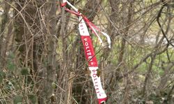 Viyana-Favoriten’de Şok Eden Olay: Çukurda Kadın Cesedi Bulundu