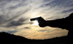 Avusturya genelinde silah kaçakçılığı operasyonu: Tirol’de tutuklama