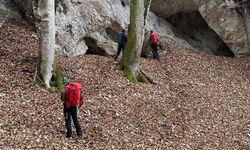 Aşağı Avusturya'da Kaybolan Kadın Mağarada Sağ Bulundu