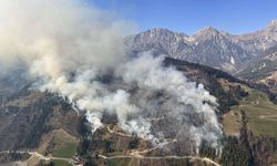 Karintiya’da orman yangını 110 hektara yayıldı