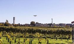 Viyana’da 200’den fazla çitçiden traktörlü protesto