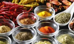 Viyana’da Lezzet Şöleni: Stadtpark’ta 2026 Yemek Festivali Başlıyor