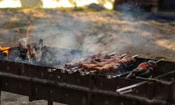Viyana’da halka açık alanlarda mangal ve nargile yasaklandı