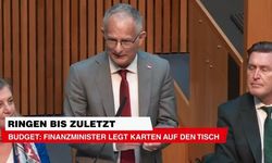 Avusturya Maliye Bakanı'ndan Tasarruf Paketi Savunması: “Sonuçlarına Katlanmak Zorundayız”