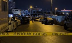 Türkiye’deki IŞİD operasyonunda Avusturya-Türkiye vatandaşı olan bir kişi öldürüldü