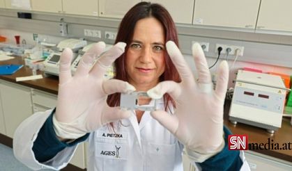 Avusturya'da "salmonella bulaşmış tavuk eti" paniği