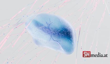 Beyin interneti geliyor: İnsanlar zihinleri ile bilgisayarları ve akıllı cihazları kontrol edebilecek