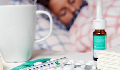 Viyana'daki grip salgını hızlı bir şekilde ilerlemeye devam ediyor