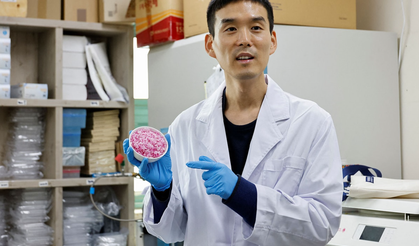 Bilim insanlarından et bulamayana ucuz alternatif: Yapay etli pirinç