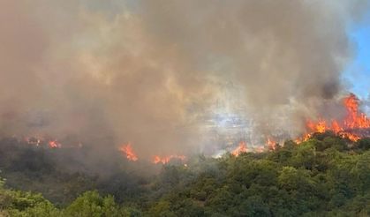 Marmara ve Ege Alarmda: Gemlik’te Deprem, Çeşme ve Bursa’da Yangın Paniği