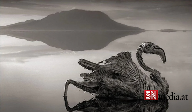 Dünyanın en ölümcül gölü Natron: Yaklaşan 'taş'a dönüyor