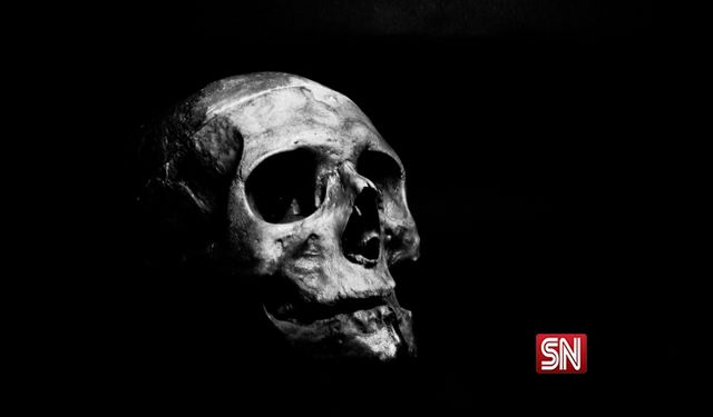 300 bin yıllık insan kalıntıları bulundu! Görülmemiş eski insan türü mü?