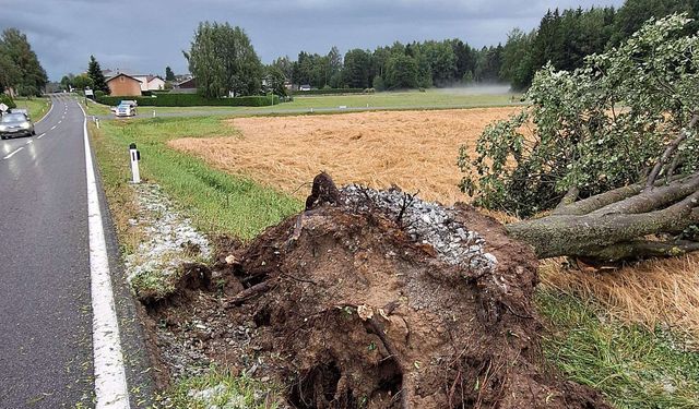 Aşağı Avusturya'da Şiddetli Fırtınalar: İtfaiye Ekipleri Seferber Oldu
