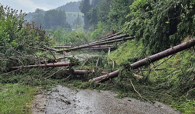 Şiddetli Fırtınalar Steiermark, Karintiya ve Tirol'ü Vurdu