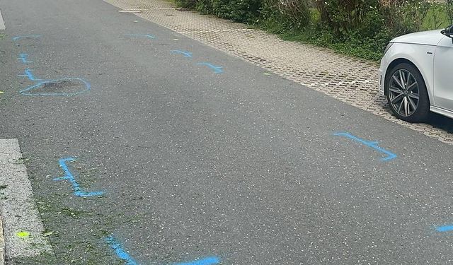Tirol'de kamyonun altında kalan çocuk yaşamını yitirdi
