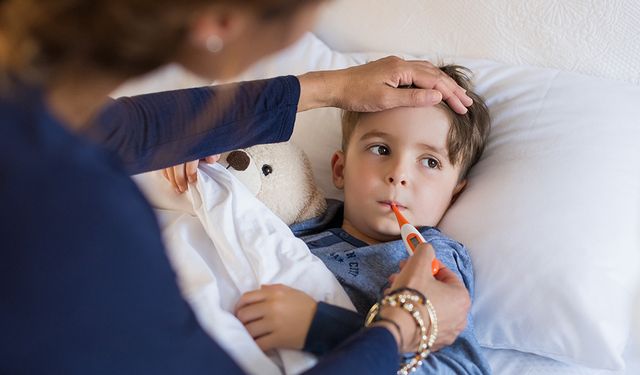 Almanya ve Avusturya’da Kaju Ezmeli Ürünlerden Salmonella Salgını: Onlarca Çocuk Hastanede