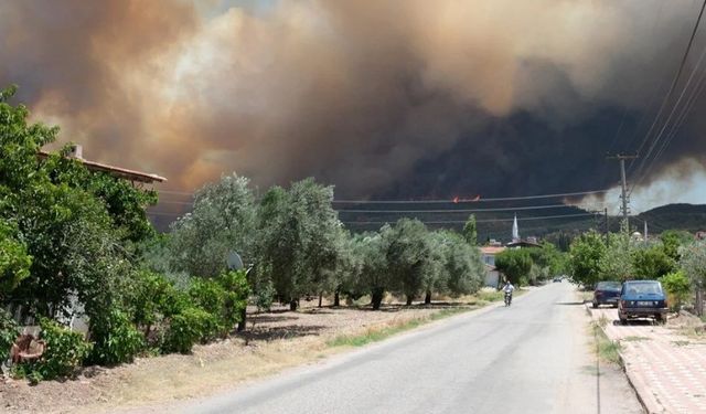Türkiye Genelinde Orman Yangınlarıyla Mücadele: 150 Yangın Çıktı, 4'ü Hâlâ Tehlikeli