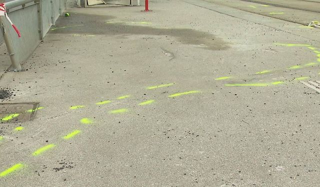 Viyana’da Bu Yıl Trafik Kazalarında Sekiz Kişi Hayatını Kaybetti