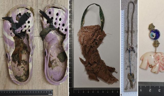 Viyana Yakınlarında Ormanda Bulunan Kadın Cesetinin Kimliği Çözülemiyor