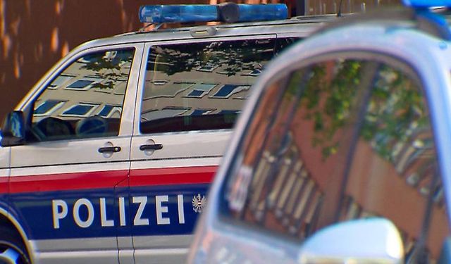 Enns’te Dehşet: Baba, Eşi ve Oğlunu Bıçaklayarak Öldürdü