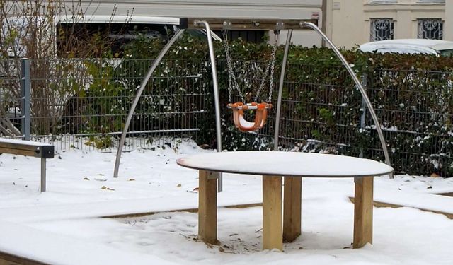 Viyana Beyaza Büründü: 450 Kişilik Ekip Gece Boyunca Çalıştı