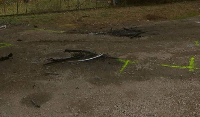 Viyana’da Yanmış Araçta Ceset Bulundu