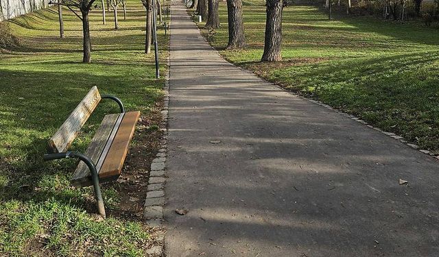 Viyana'da 11 Yaşındaki Çocuk Havai Fişekle Kendini Ağır Şekilde Yaraladı