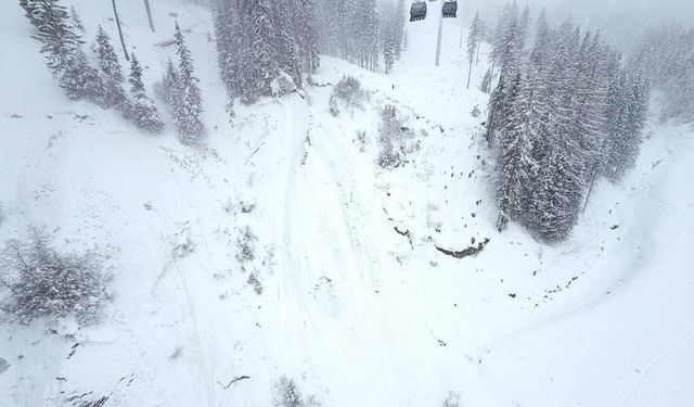Avustralya'da Bu Kış Çığlar 24 Kişiyi Hayattan Kopardı