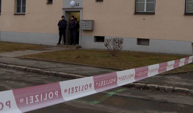 Leoben’de 11 Yaşındaki Çocuk Öldürüldü: Anne Tutuklanarak Cezaevine Sevk Edildi