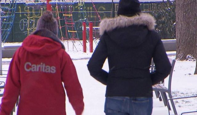 Viyana’da Soğuk Hava Yardım Hattına Rekor Başvuru!