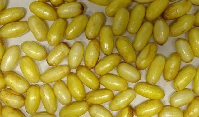 Viyana Havalimanı’nda şok operasyon: Vücudunda 85 paket kokain taşıyan şahıs yakalandı