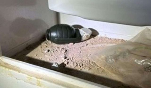 Viyana’da Bir Apartmandaki Sayaç Kutusunda El Bombası Bulundu