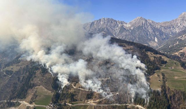 Karintiya’da orman yangını 110 hektara yayıldı
