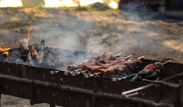 Viyana’da halka açık alanlarda mangal ve nargile yasaklandı