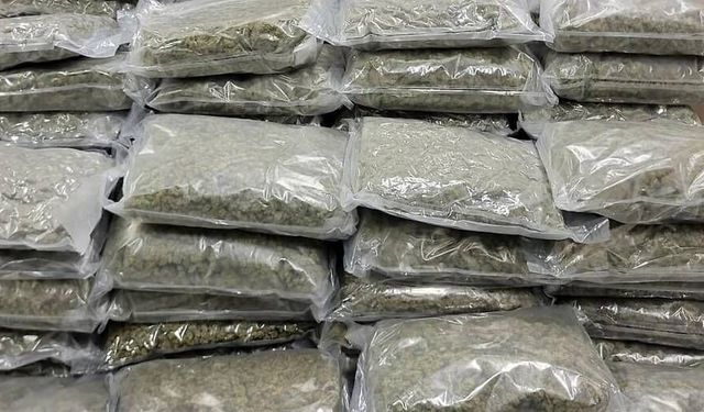 Viyana’da Büyük Uyuşturucu Operasyonu! 70 Kilo Esrar ve 6,8 Kilo Kokain Ele Geçirildi