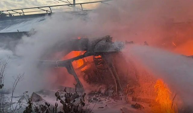 Avusturya’da İki Yük Treni Çarpıştı: Elektrikli Araç Taşıyan Vagonlar Alev Alev Yandı