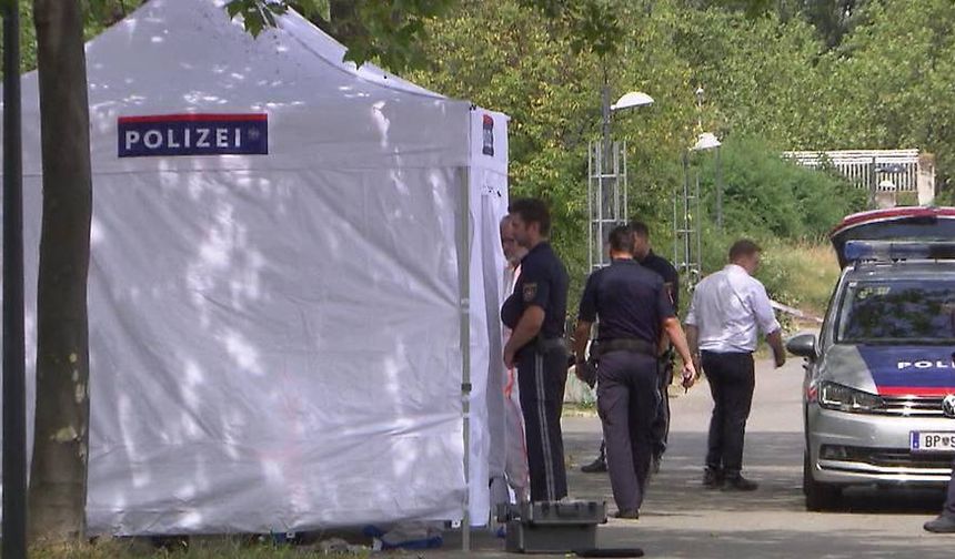 Viyana'daki evsiz cinayetlerini işleyen kişi polise teslim oldu