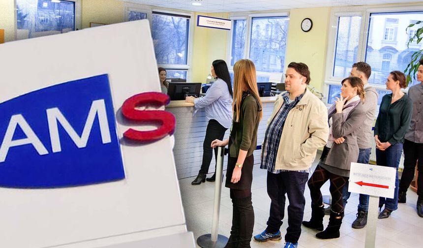 Avusturya’da İşgücü Krizi Derinleşiyor: AMS Göç ve Eğitim Seferberliği İstiyor