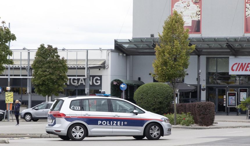 Wiener Neustadt'taki cinayetin şüphelisi Avusturya'ya iade edildi