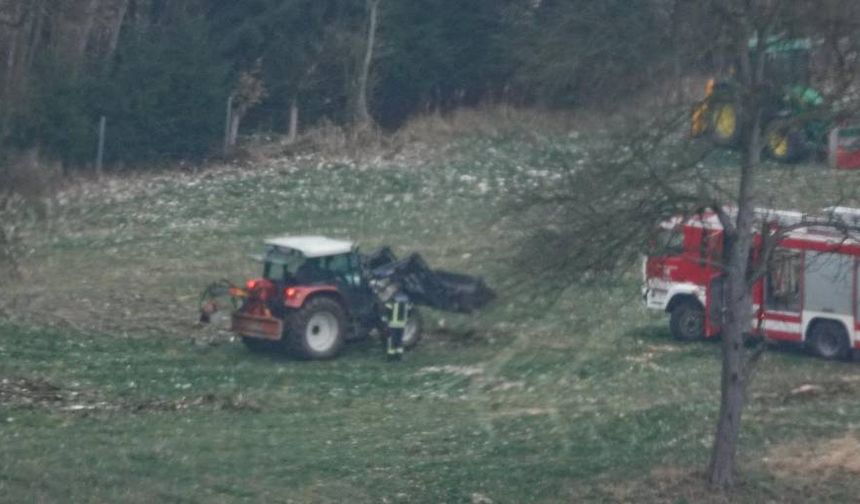 Aşağı Avusturya’da Orman Kazalarında 10 Kişi Hayatını Kaybetti