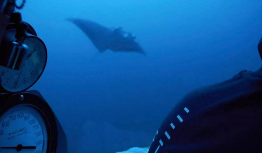 Uzun yaşamın anahtarı balinada:  İnsan ömrünü uzatmanın sırrı çözüldü