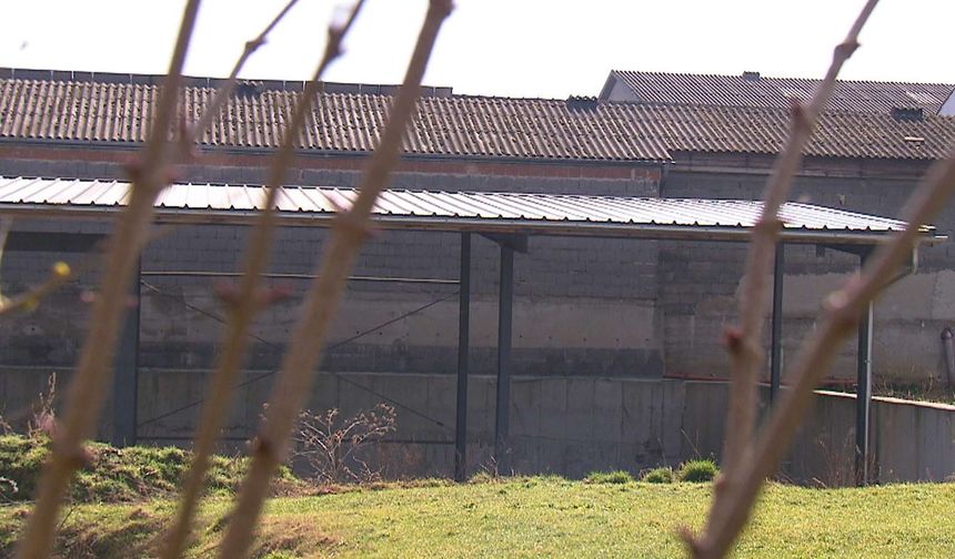 Würmla’da Kaçak Yapılar Tartışmalı İmar Değişikliği ile Yasallaştırıldı