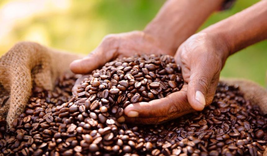Fairtrade krize meydan okuyor: Avusturya'daki satışlar 2024'te önemli ölçüde arttı