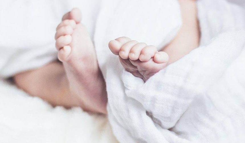Aşağı Avusturya'da İki Doğumhane 1 Temmuz’da Kapatılıyor