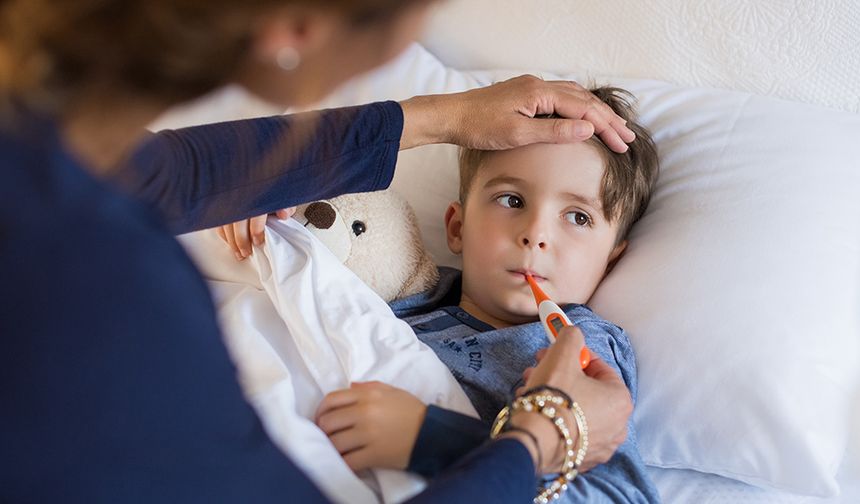 Almanya ve Avusturya’da Kaju Ezmeli Ürünlerden Salmonella Salgını: Onlarca Çocuk Hastanede
