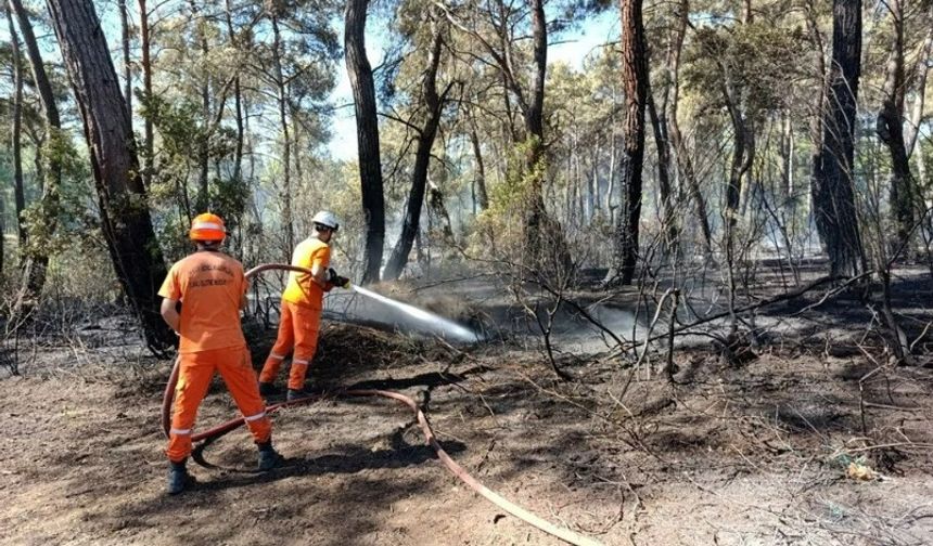 Yedi Şehirde Orman Yangını: Türkiye Alevlerle Mücadele Ediyor