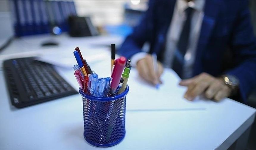 Avusturya’da Yaşlı İstihdamı Tartışması: Prim/Ceza Sistemi Gündemde