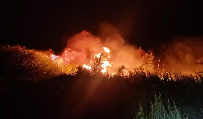Türkiye Alevlerle Mücadele Ediyor: İzmir ve Çevresinde 5 Mahalle Tahliye Edildi
